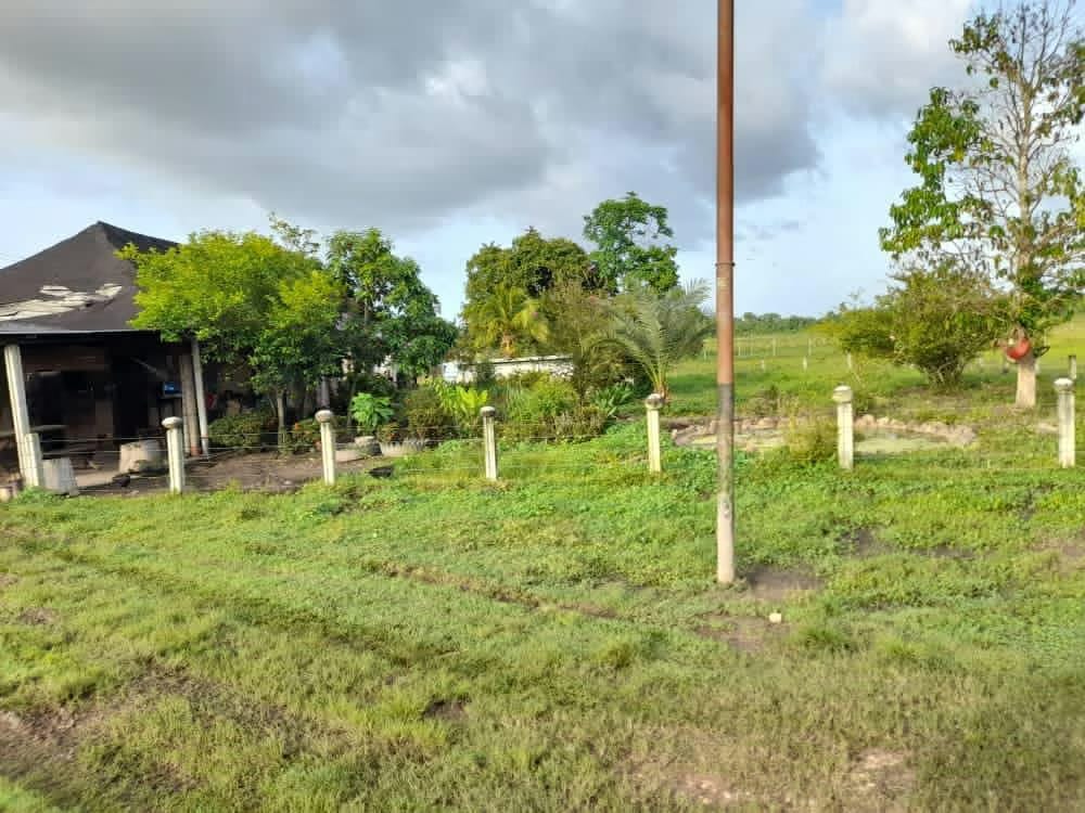 Finca en Venta - Alto Sucre - Maturín - Estado Monagas - 3