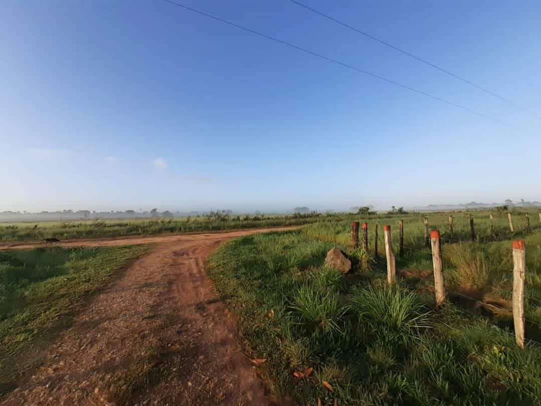 Finca en Venta - Alto Sucre - Maturín - Estado Monagas - 8