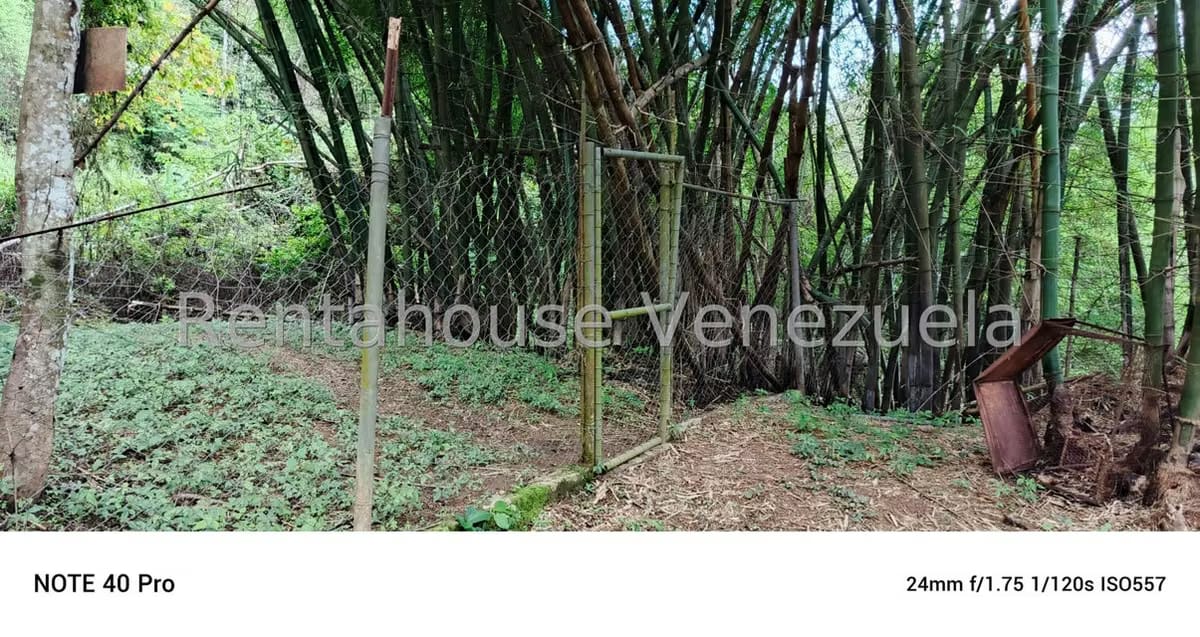 Terreno (Comercial) en Venta en Gavilan, Distrito Metropolitano - 11