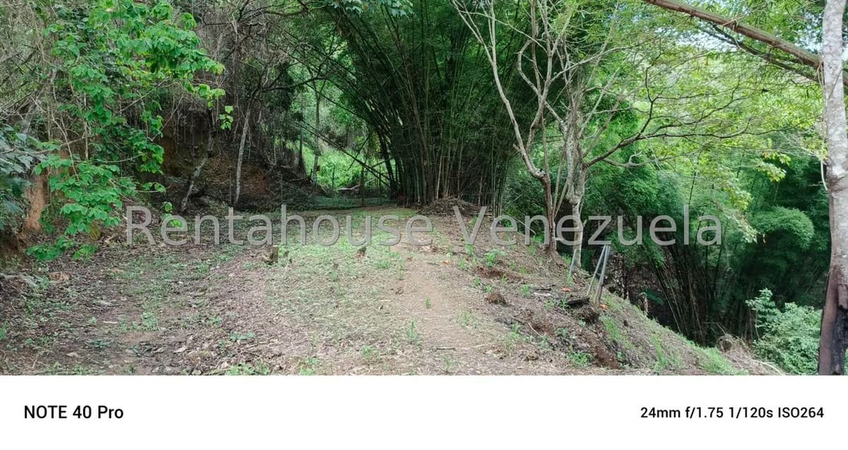 Terreno (Comercial) en Venta en Gavilan, Distrito Metropolitano - 6