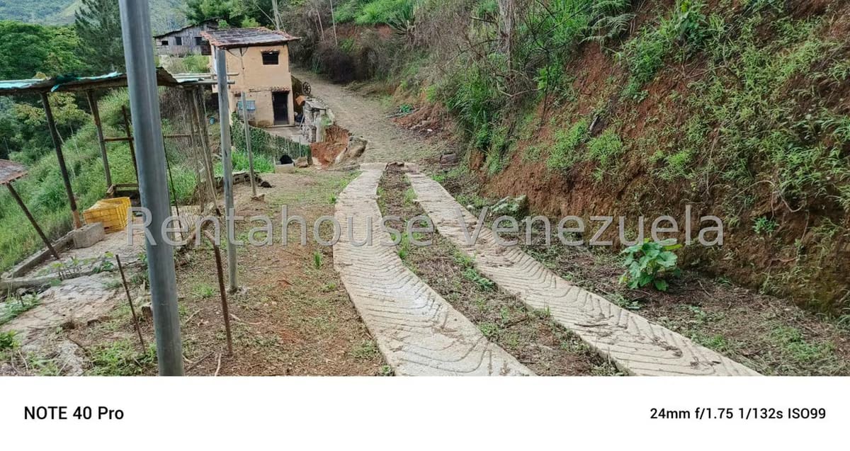 Terreno (Comercial) en Venta en Gavilan, Distrito Metropolitano - 9