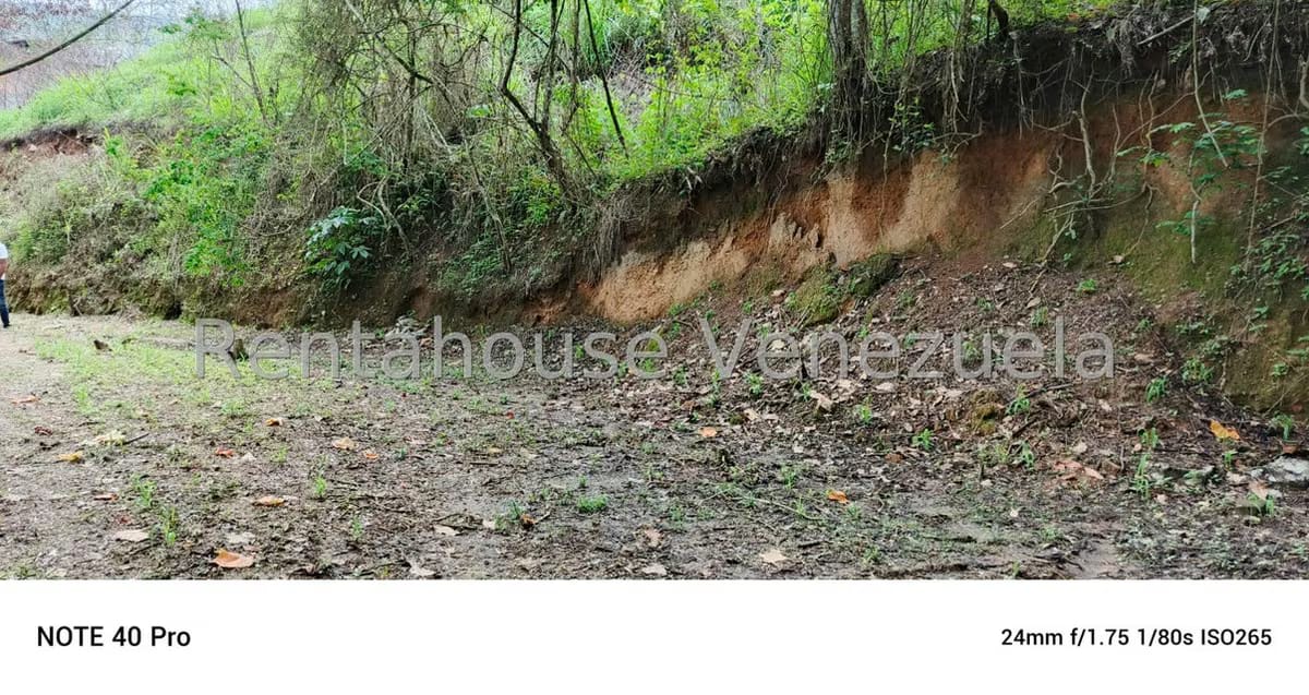 Terreno (Comercial) en Venta en Gavilan, Distrito Metropolitano - 10