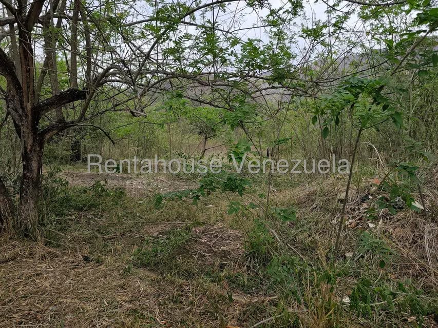 Terreno (Residencial) en Venta en Manongo, Carabobo - 11