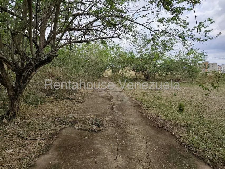 Terreno (Residencial) en Venta en Manongo, Carabobo - 5