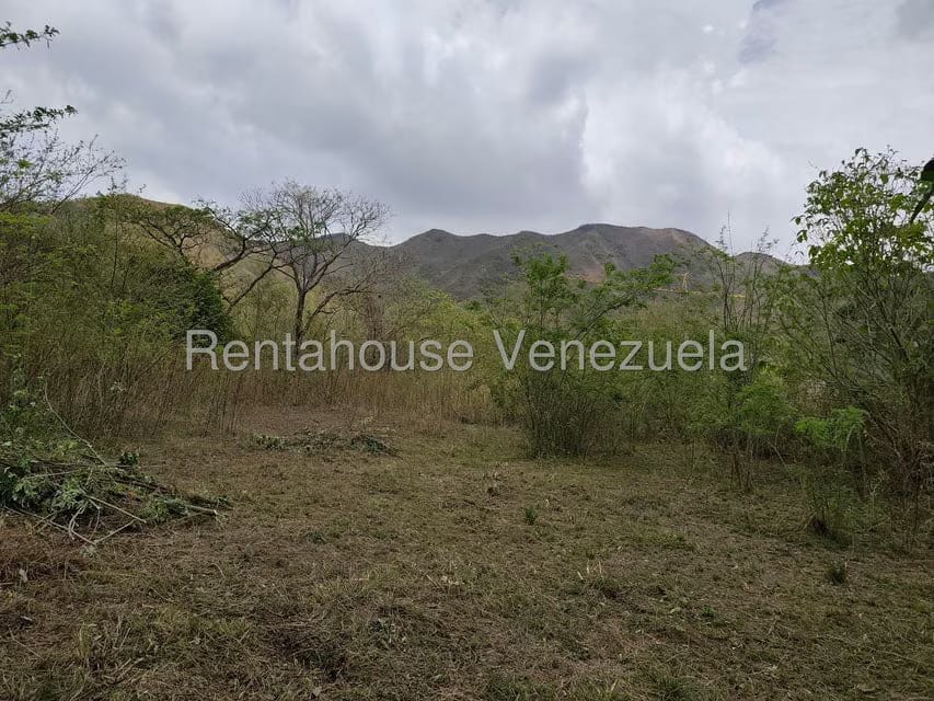Terreno (Residencial) en Venta en Manongo, Carabobo - 6