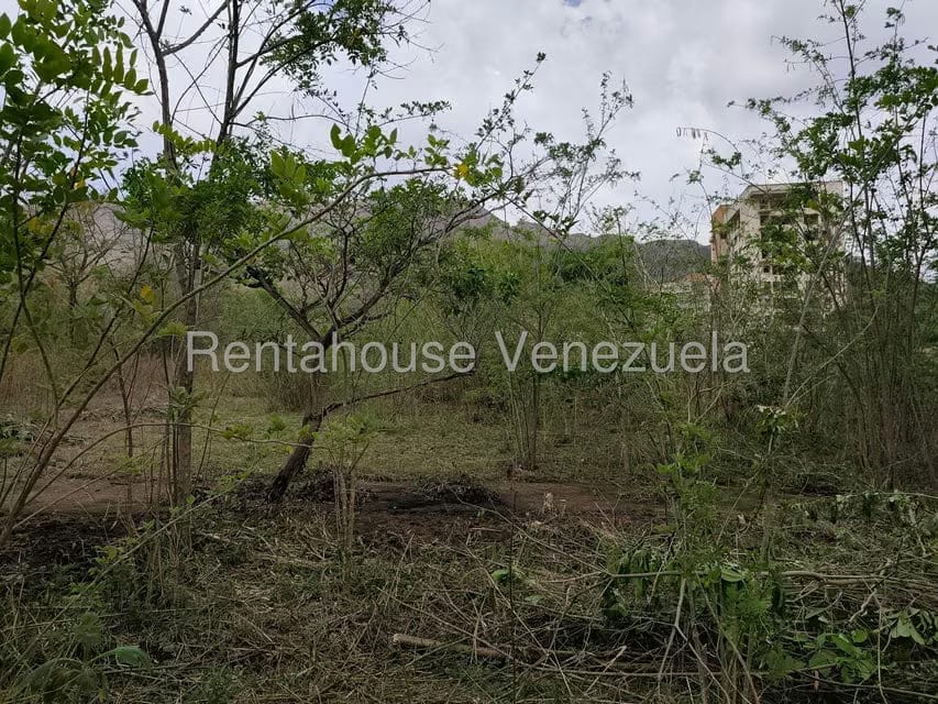 Terreno (Residencial) en Venta en Manongo, Carabobo - 10