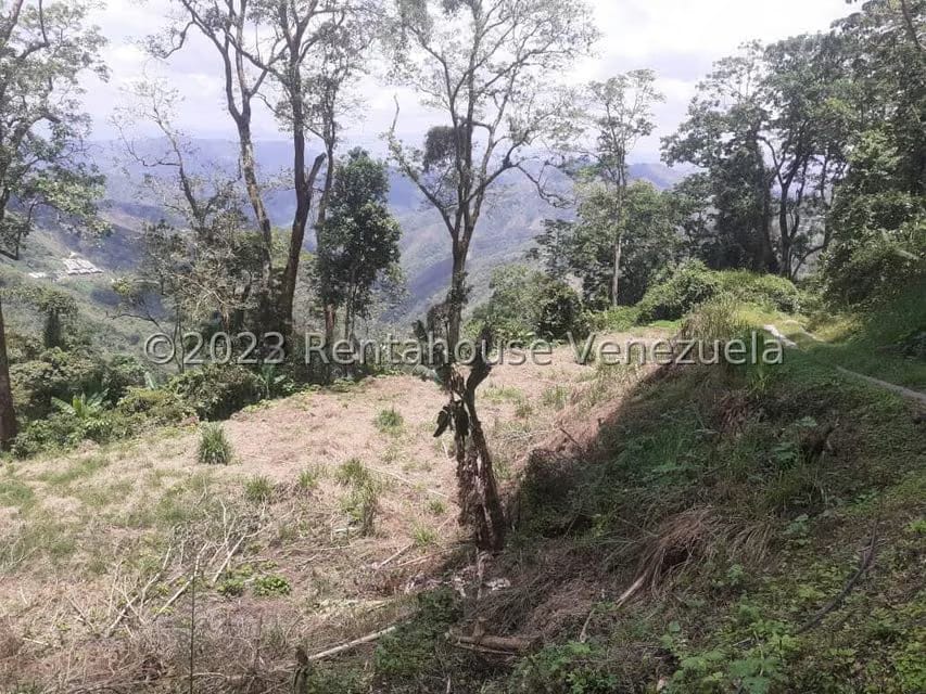 Terreno (Residencial) en Venta en San Diego de los Altos, Miranda - 3