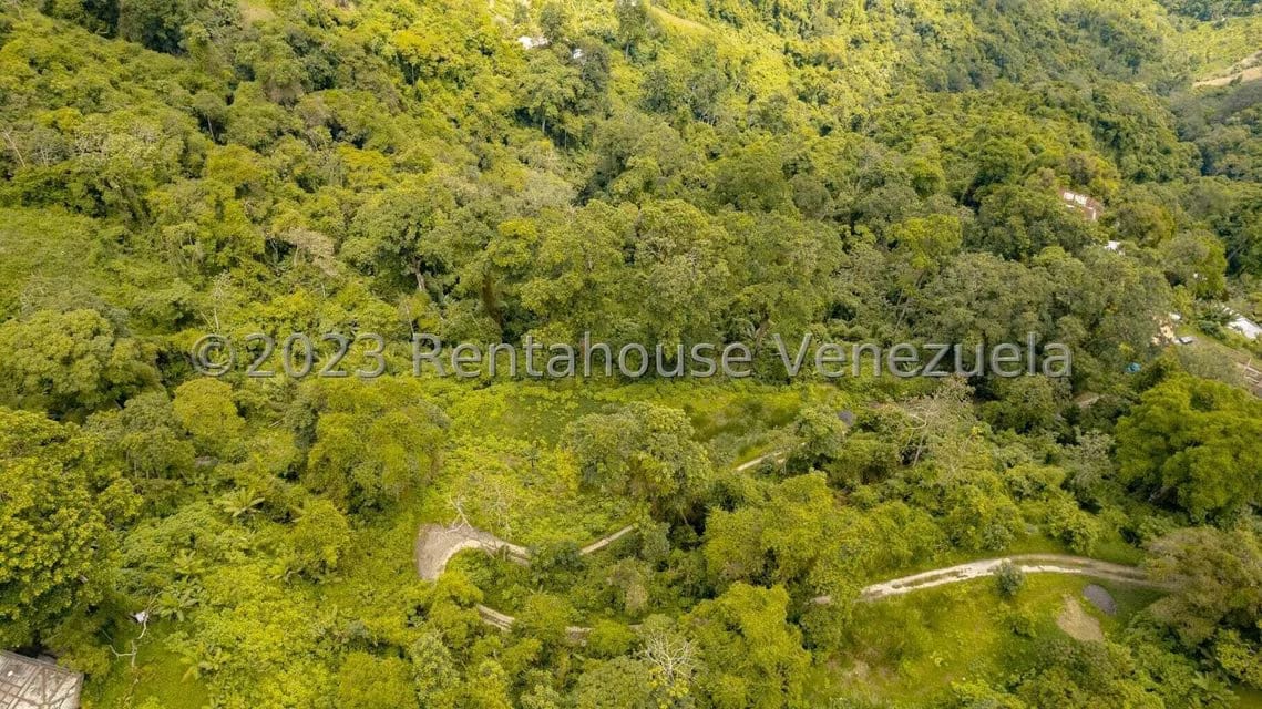 Terreno (Residencial) en Venta en San Diego de los Altos, Miranda - 4