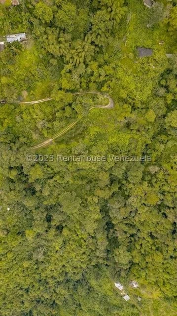 Terreno (Residencial) en Venta en San Diego de los Altos, Miranda - 5