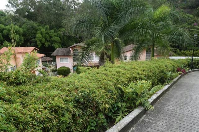 Terreno (Residencial) en Venta en El Picacho, Miranda - 19