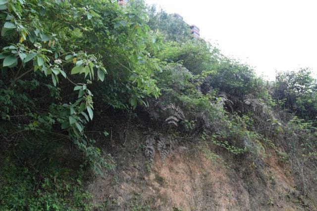 Terreno (Residencial) en Venta en El Picacho, Miranda - 3