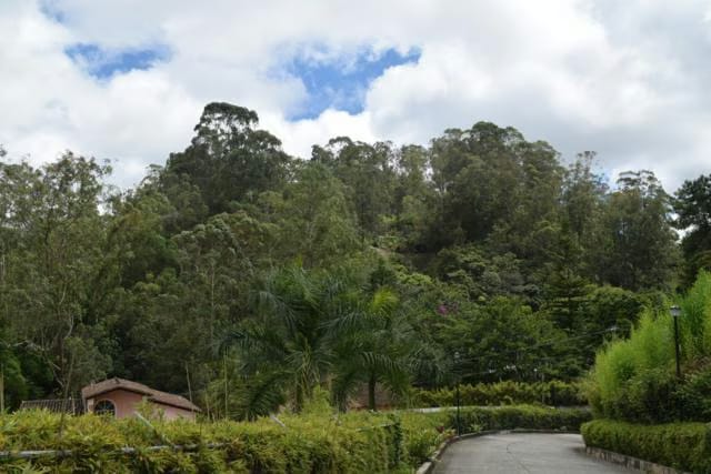 Terreno (Residencial) en Venta en El Picacho, Miranda - 6