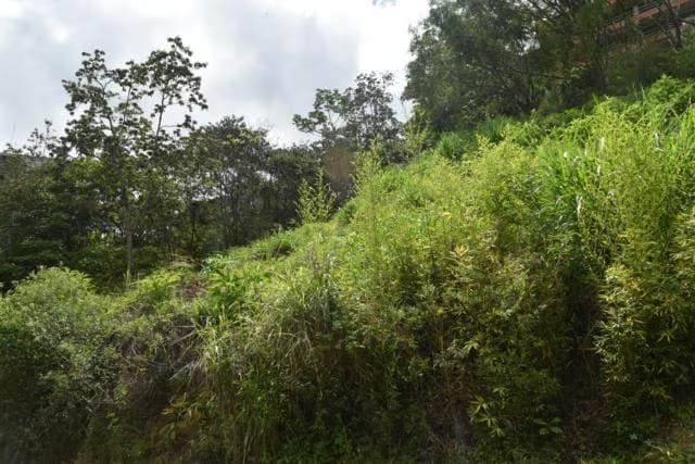 Terreno (Residencial) en Venta en El Picacho, Miranda - 8