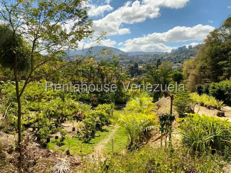 Terreno (Residencial) en Venta en Prados del Este, Distrito Metropolitano - 11