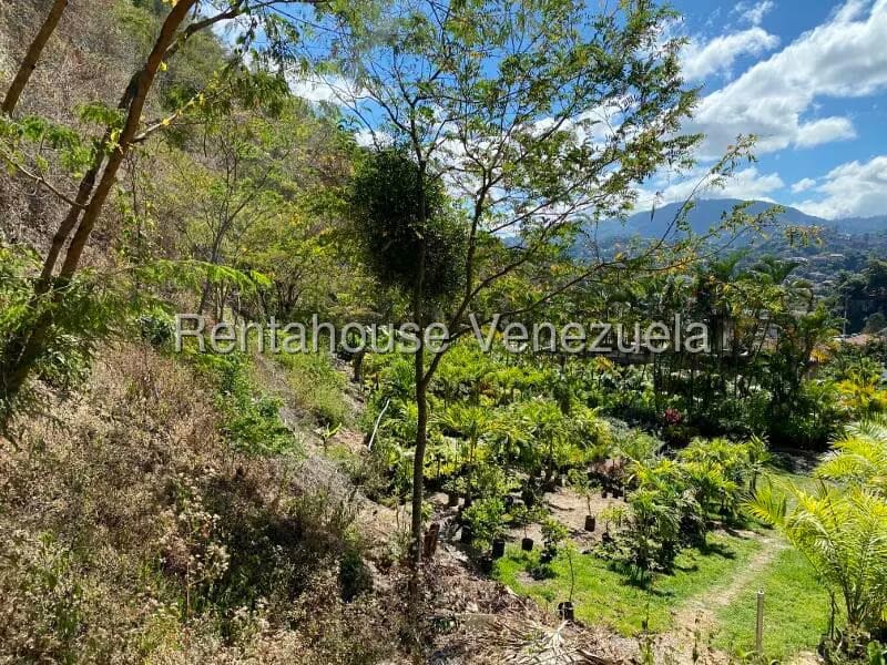 Terreno (Residencial) en Venta en Prados del Este, Distrito Metropolitano - 12