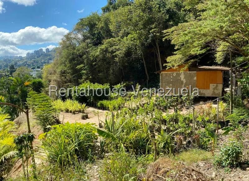 Terreno (Residencial) en Venta en Prados del Este, Distrito Metropolitano - 13