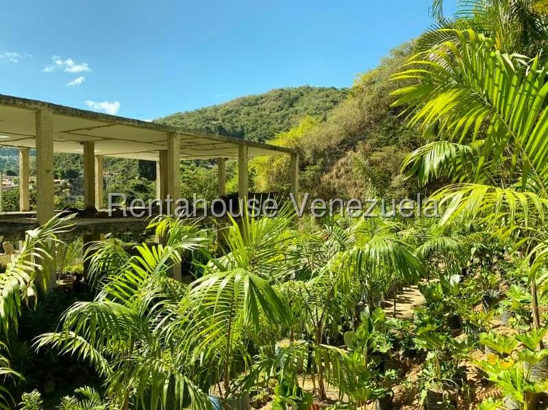 Terreno (Residencial) en Venta en Prados del Este, Distrito Metropolitano - 17