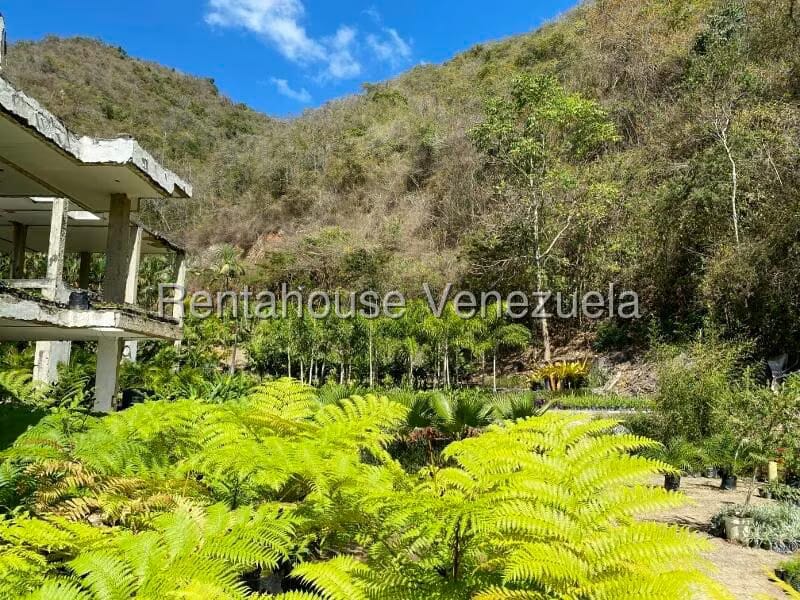 Terreno (Residencial) en Venta en Prados del Este, Distrito Metropolitano - 37