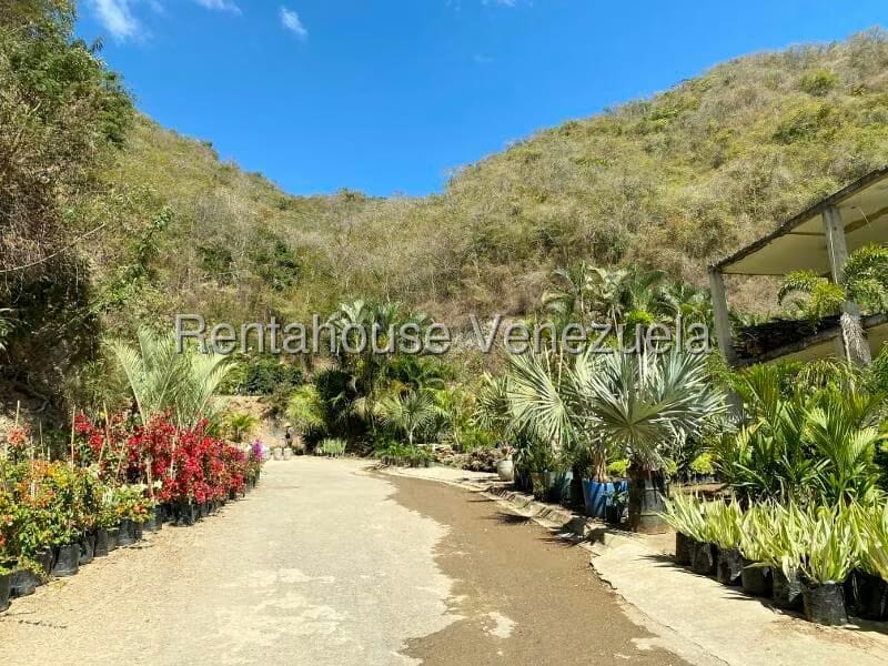 Terreno (Residencial) en Venta en Prados del Este, Distrito Metropolitano - 40