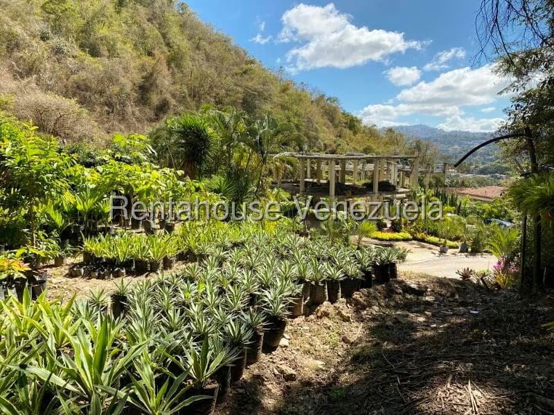 Terreno (Residencial) en Venta en Prados del Este, Distrito Metropolitano - 5