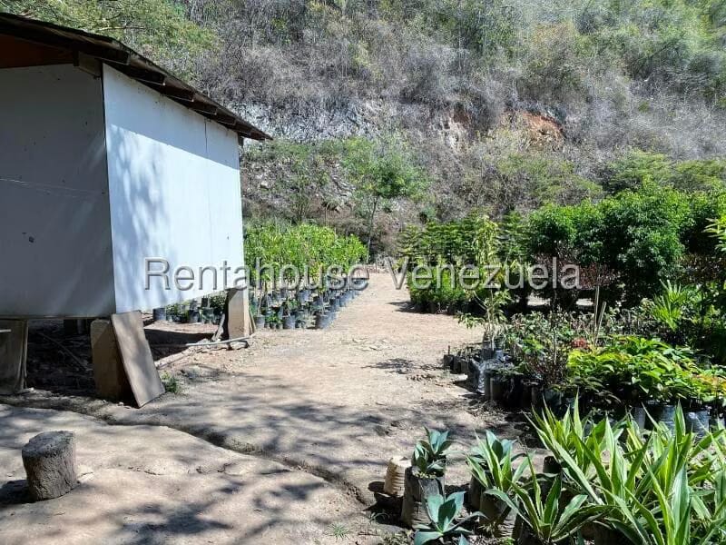 Terreno (Residencial) en Venta en Prados del Este, Distrito Metropolitano - 6