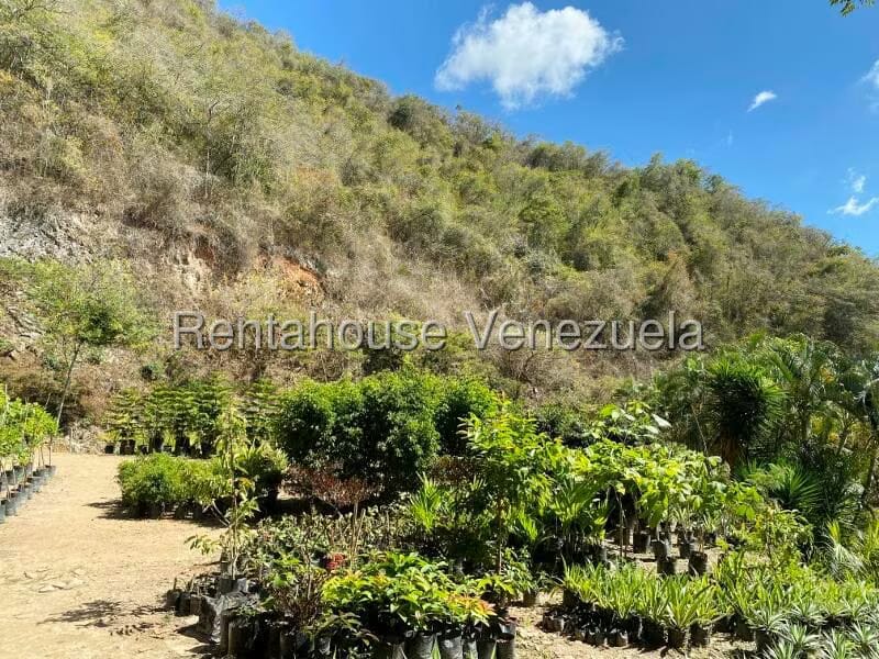 Terreno (Residencial) en Venta en Prados del Este, Distrito Metropolitano - 7