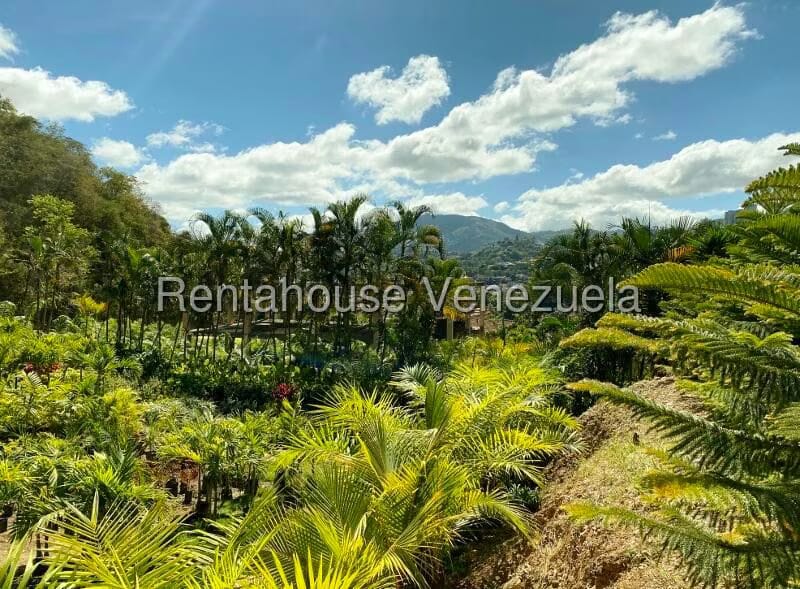 Terreno (Residencial) en Venta en Prados del Este, Distrito Metropolitano - 10