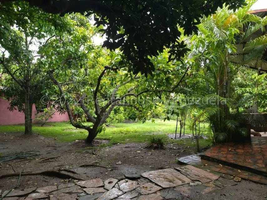 Casa (1 Nivel) en Venta en Bruzual, Yaracuy - 19