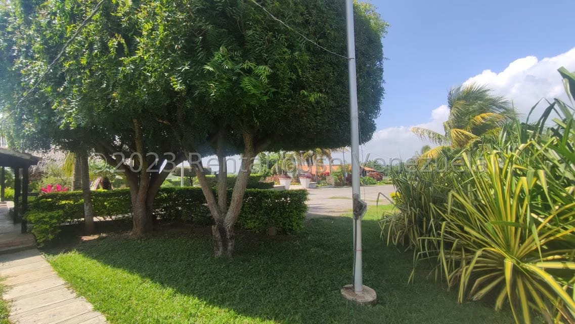 Terreno (Finca) en Venta en Municipio Peña, Yaracuy - 66