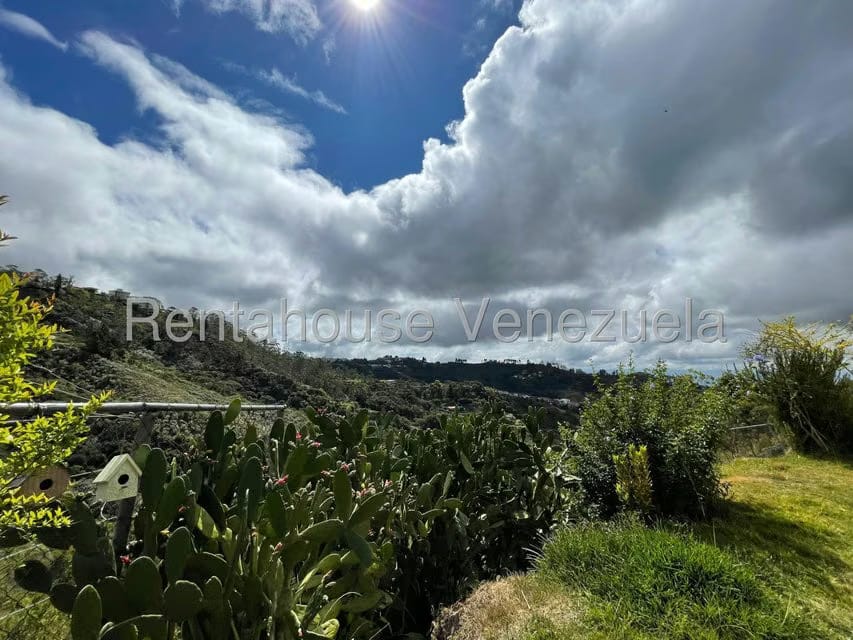 Casa (Multipes Niveles) en Venta en Club de Campo, Miranda - 25