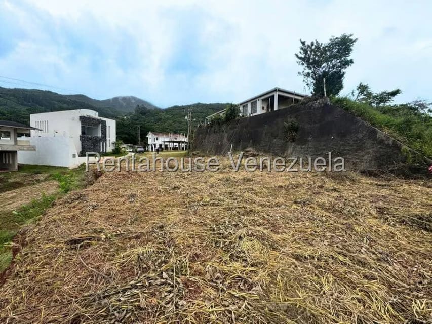 Terreno (Residencial) en Venta en Cueva del Oso, Tachira - 4