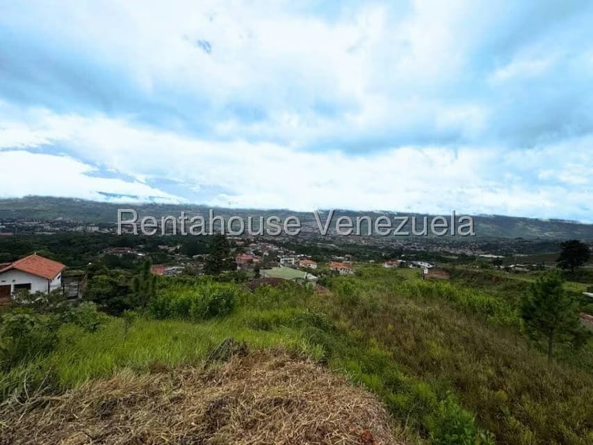 Terreno (Residencial) en Venta en Cueva del Oso, Tachira - 5