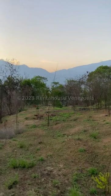 Terreno (Comercial) en Venta en El Marques, Miranda - 3