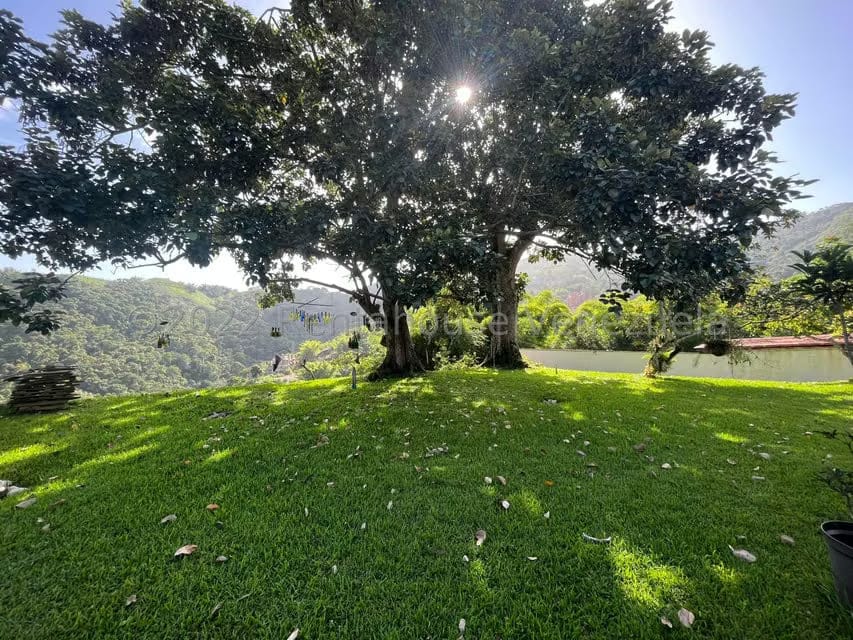 Casa (Multipes Niveles) en Venta en Oripoto, Distrito Metropolitano - 47