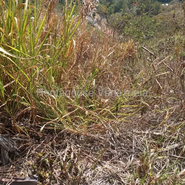 Terreno (Residencial) en Venta en Caicaguana, Distrito Metropolitano - 14