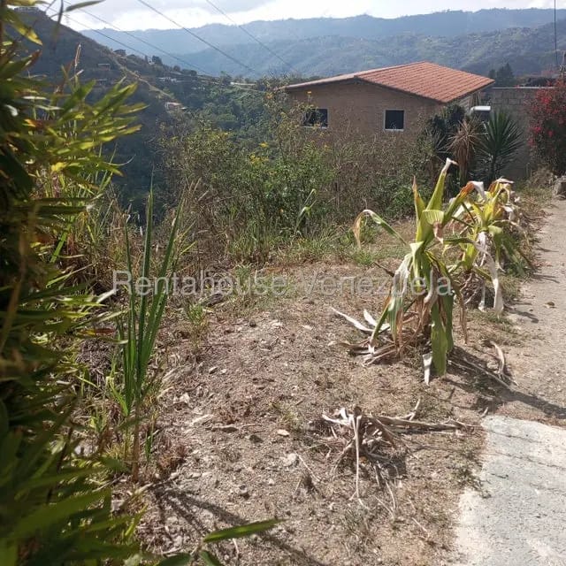 Terreno (Residencial) en Venta en Caicaguana, Distrito Metropolitano - 7