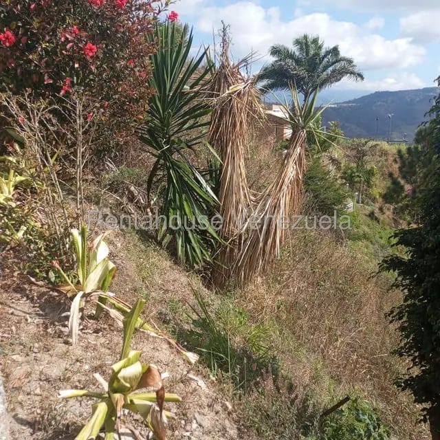 Terreno (Residencial) en Venta en Caicaguana, Distrito Metropolitano - 8