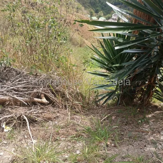 Terreno (Residencial) en Venta en Caicaguana, Distrito Metropolitano - 10