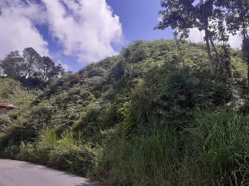 Terreno (Residencial) en Venta en La Morita, Miranda - 2