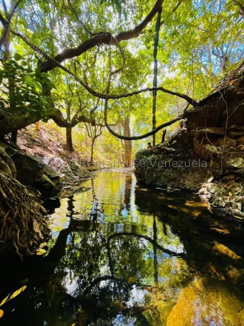 Casa (Finca) en Venta en Distrito San Casimiro, Aragua - 28