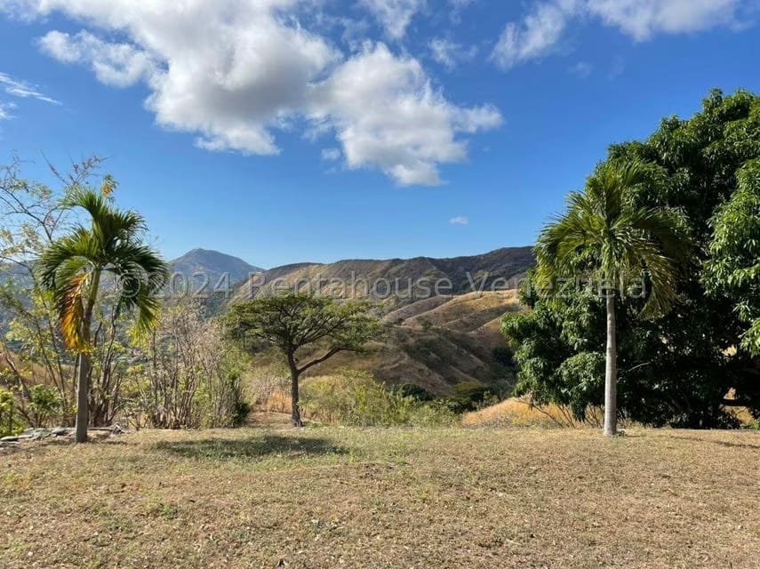 Casa (Finca) en Venta en Distrito San Casimiro, Aragua - 34