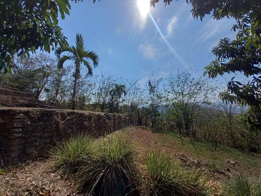 Casa (Finca) en Venta en Distrito San Casimiro, Aragua - 37
