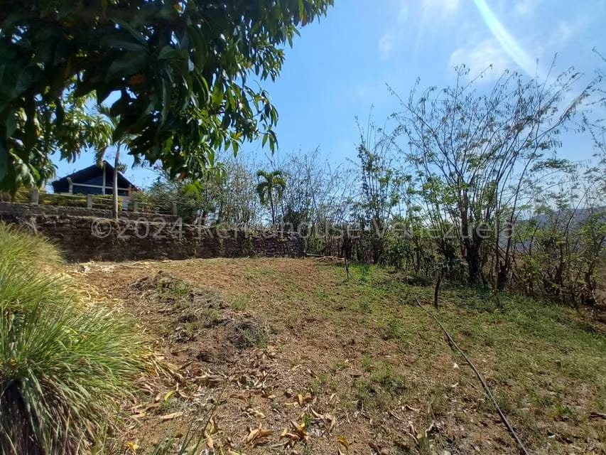 Casa (Finca) en Venta en Distrito San Casimiro, Aragua - 38