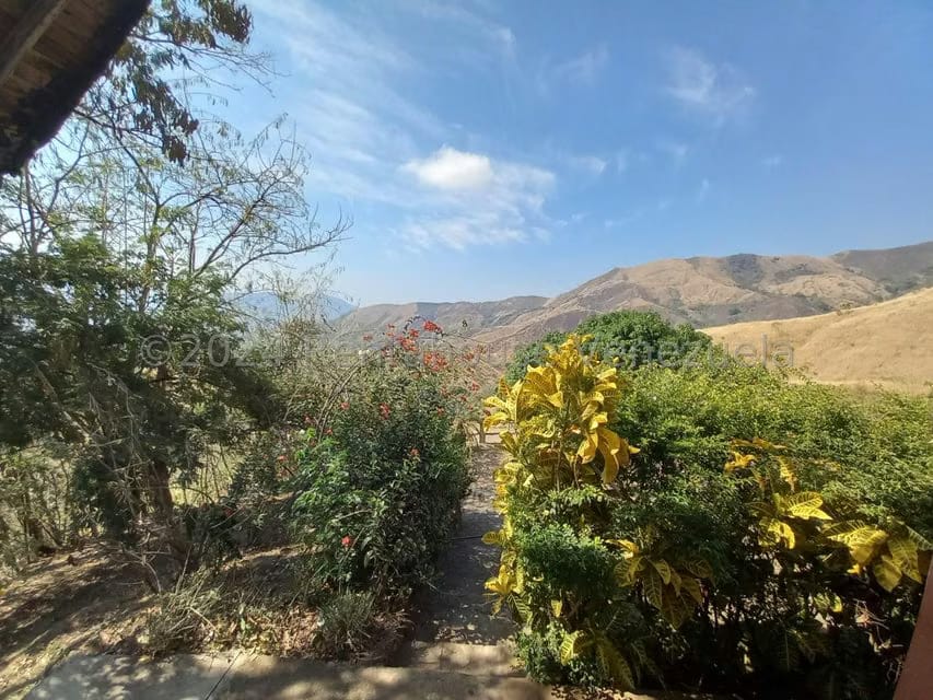 Casa (Finca) en Venta en Distrito San Casimiro, Aragua - 5
