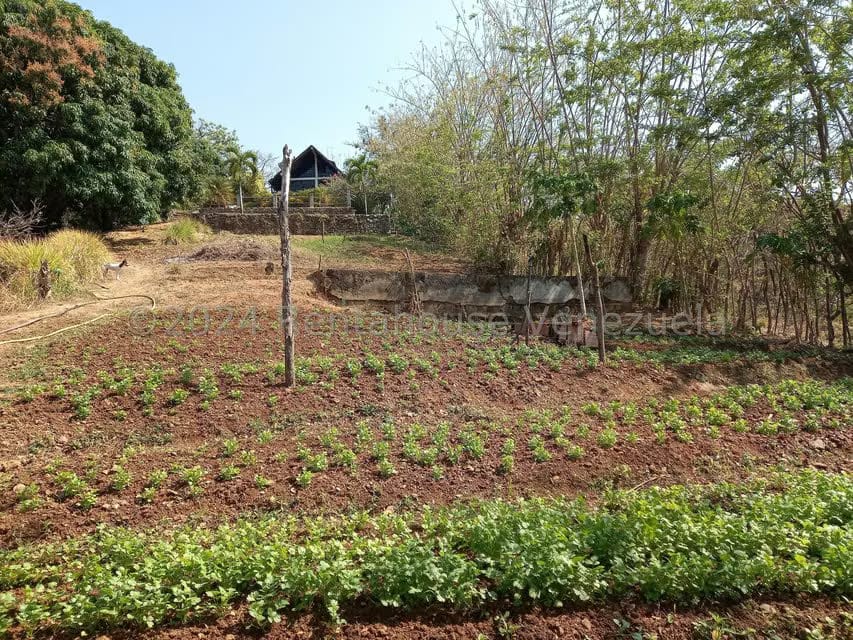 Casa (Finca) en Venta en Distrito San Casimiro, Aragua - 41