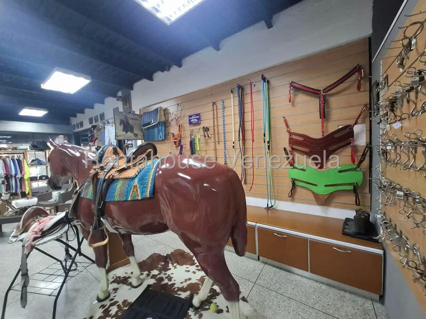Negocios y Empresas (Comercio) en Venta en Araure, Portuguesa - 3