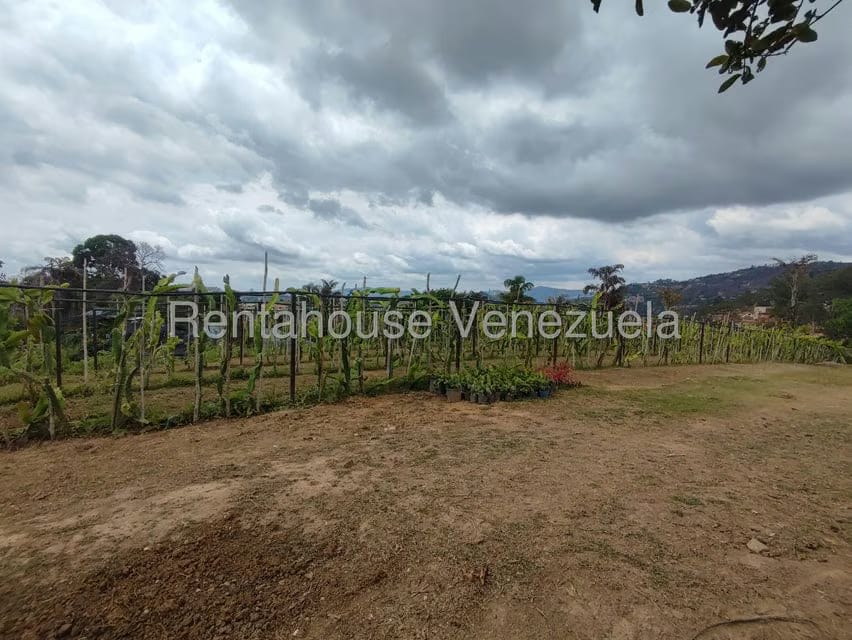 Terreno (Comercial) en Venta en El Hatillo, Distrito Metropolitano - 18