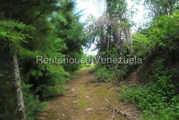 Terreno (Comercial) en Venta en El Hatillo, Distrito Metropolitano - 4