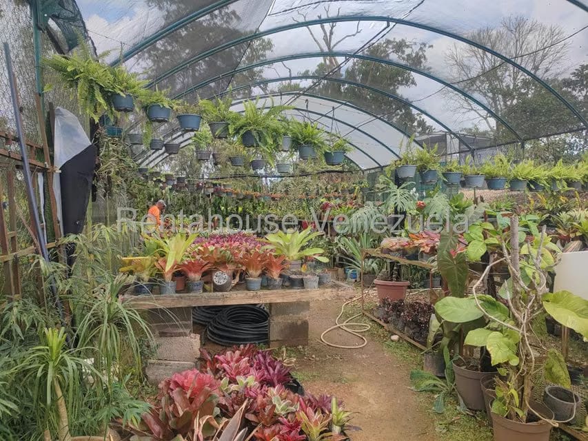 Terreno (Comercial) en Venta en El Hatillo, Distrito Metropolitano - 42