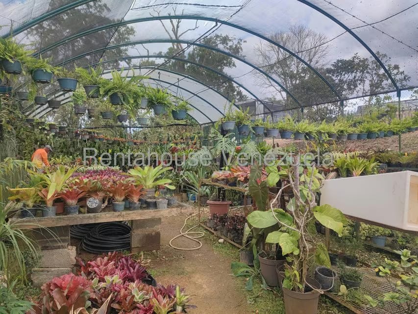 Terreno (Comercial) en Venta en El Hatillo, Distrito Metropolitano - 43